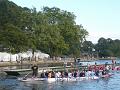 Drachenboot16