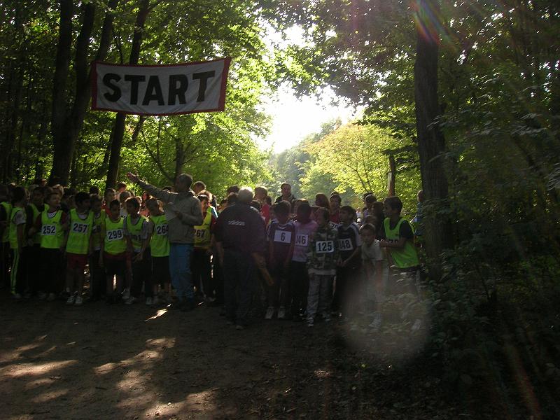 Crosslauf09.JPG