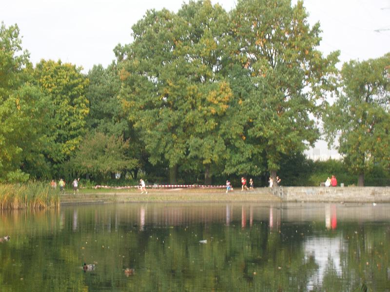 Crosslauf-M17.JPG