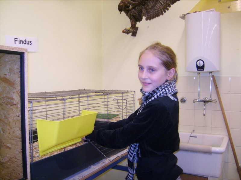 Zoo-AG_04.JPG