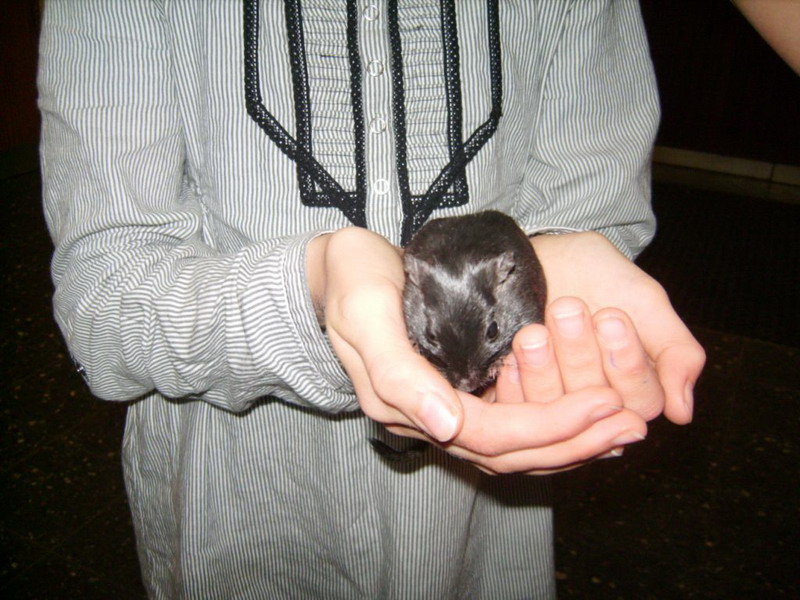 Zoo-AG_09.JPG
