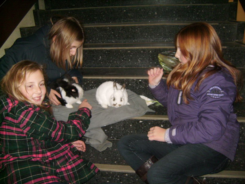 Zoo-AG_15.JPG