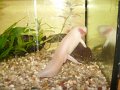Zoo-AG_02