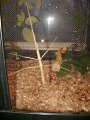 Zoo-AG_05