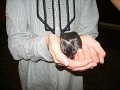 Zoo-AG_09