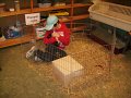 Zoo-AG_18