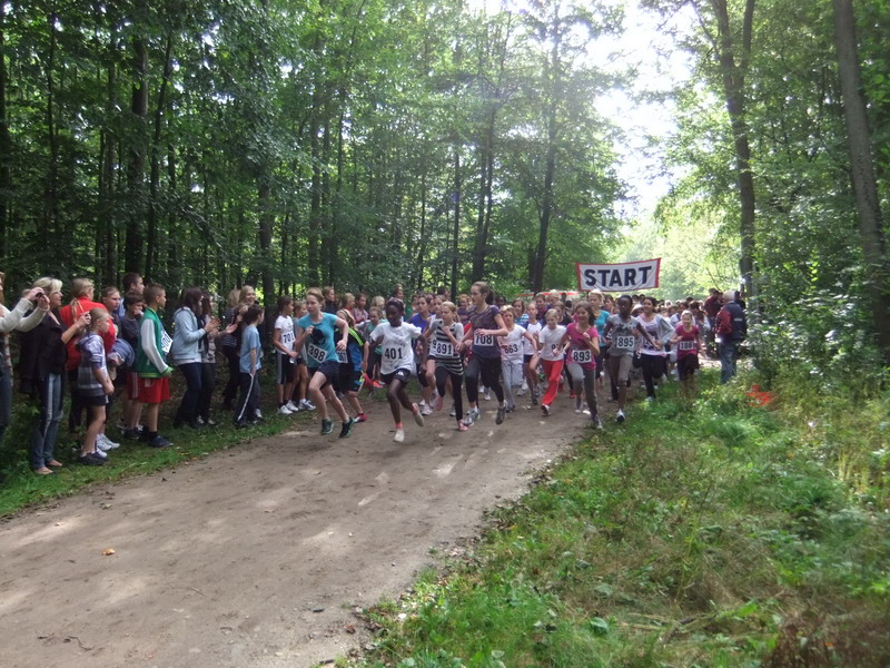 Crosslauf2011_2.jpg